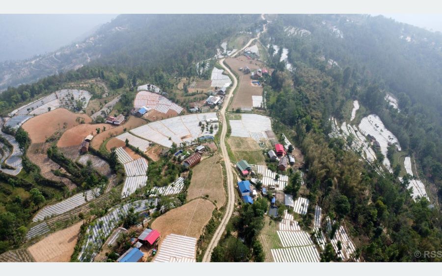 Netizen Nepal