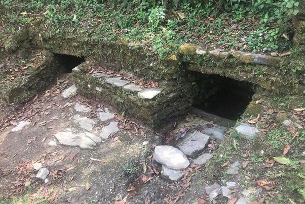 Netizen Nepal