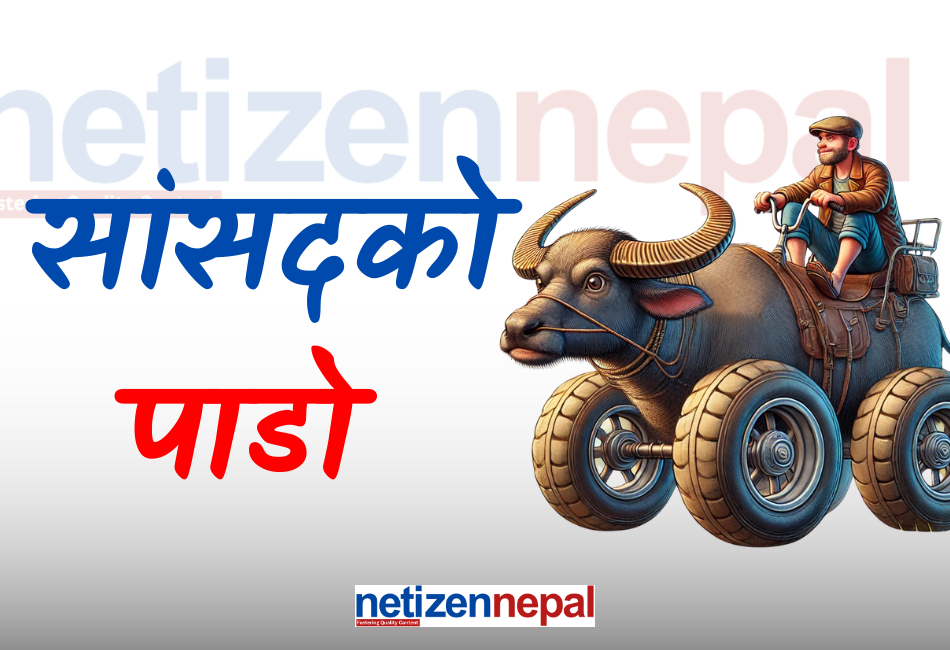 Netizen Nepal